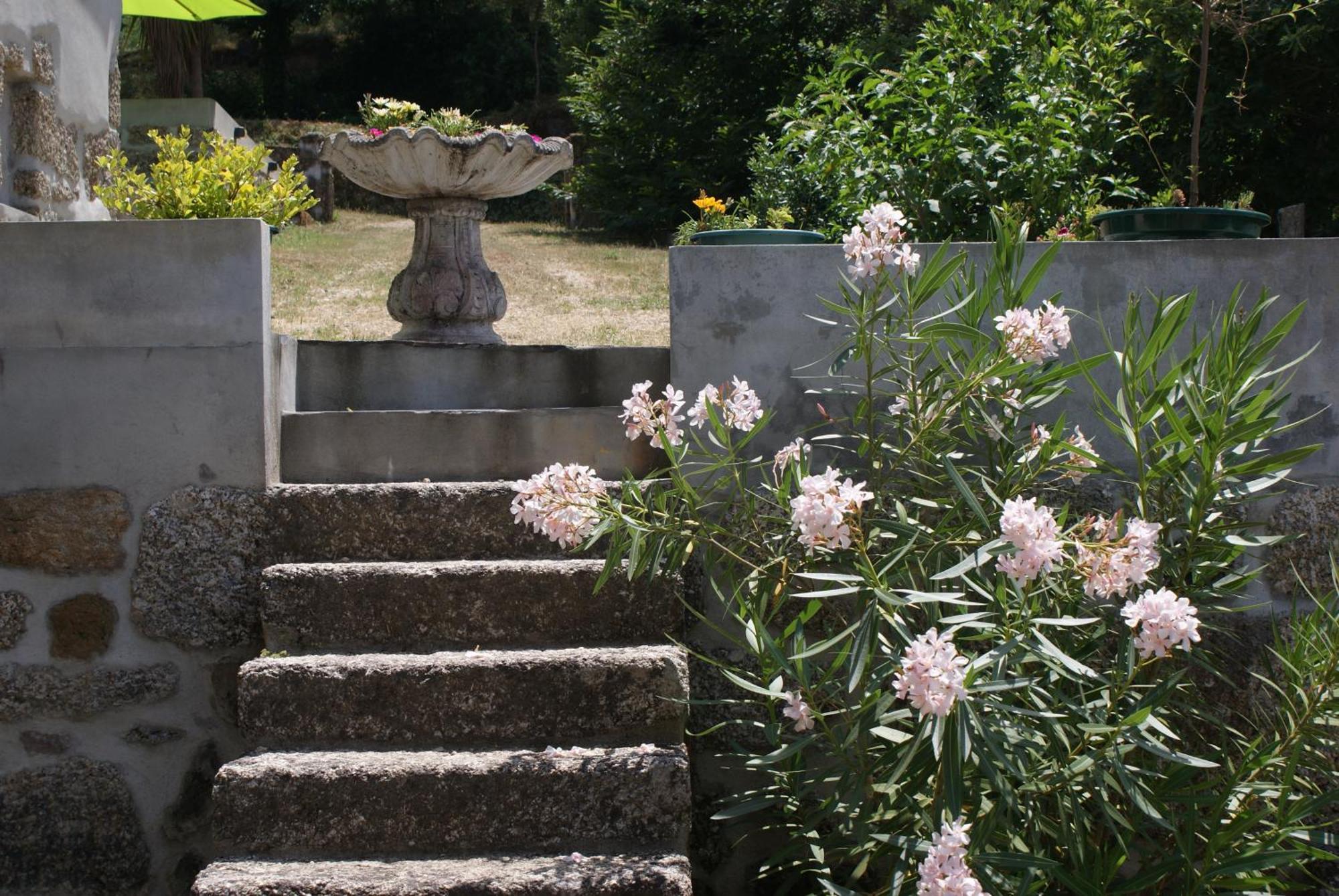 Quinta Da Encavalada Nogueira do Cravo Exterior foto